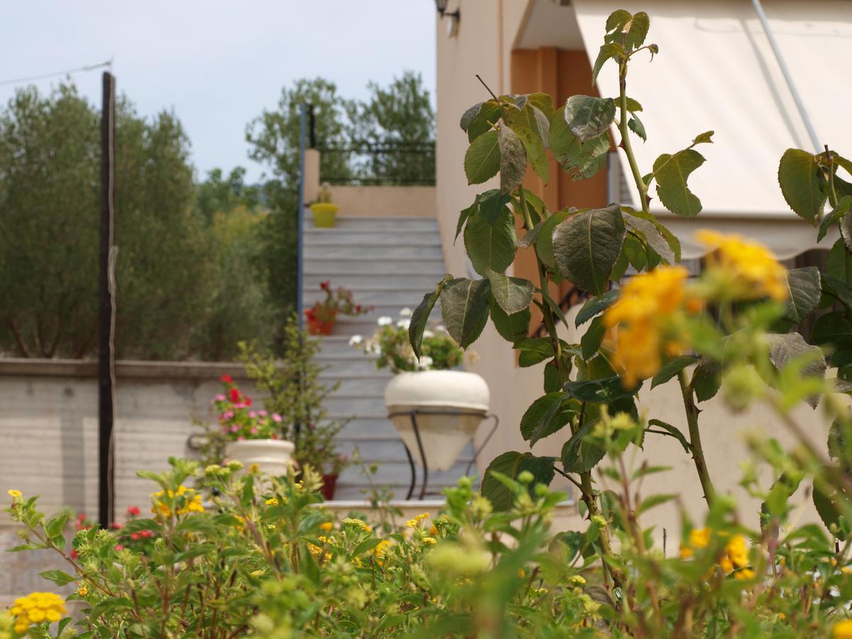 Aristotelis Apartments Razáta Zimmer foto